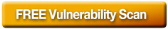 Free Vulnerability Scan